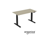 Een ACTIE: RISE ELEKTRISCH VERSTELBAAR BUREAU ERGONICE 80X160 koop je bij EconOffice