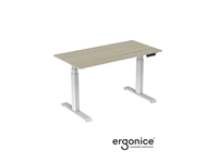 Een ACTIE: RISE ELEKTRISCH VERSTELBAAR BUREAU ERGONICE 80X160 koop je bij EconOffice