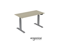 Een ACTIE: RISE ELEKTRISCH VERSTELBAAR BUREAU ERGONICE 80X160 koop je bij EconOffice