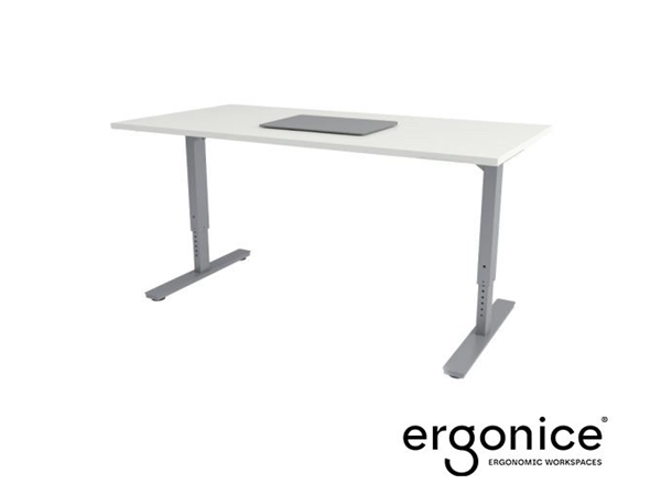 Een ECON Nice Bolt Bureau verstelbaar 140x80 grijs/wit koop je bij EconOffice