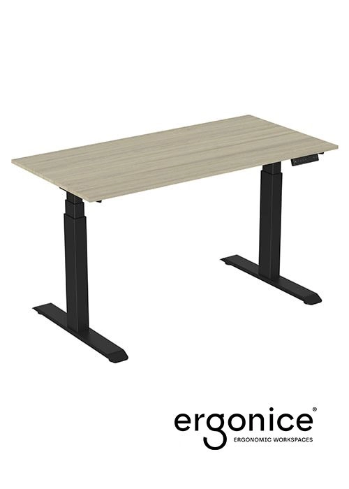 Een ACTIE: RISE ELEKTRISCH VERSTELBAAR BUREAU ERGONICE 80X160 koop je bij EconOffice