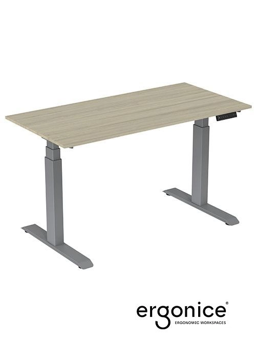 Een ACTIE: RISE ELEKTRISCH VERSTELBAAR BUREAU ERGONICE 80X160 koop je bij EconOffice